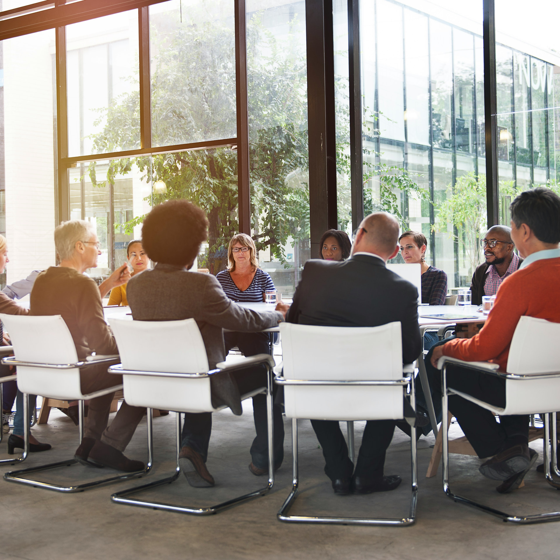 Team meeting in a bright, modern hospitality space with garden views
